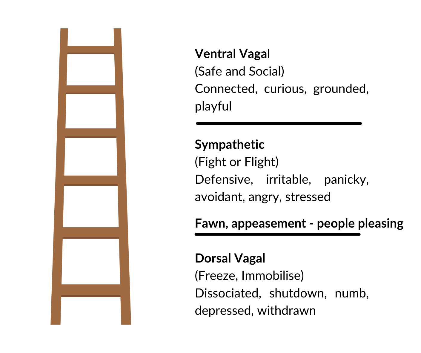 Polyvagal Theory Ladder