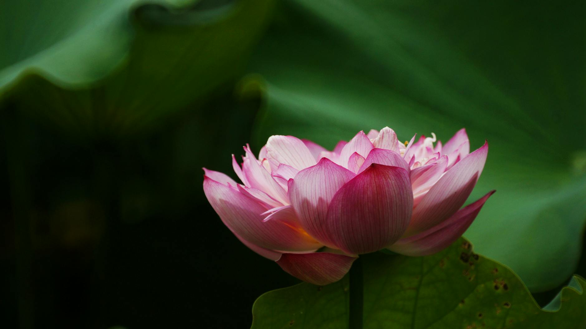 spiritual awakening parenting in burnout