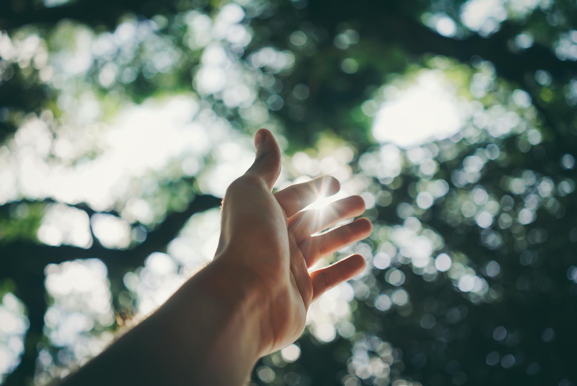 new hope as a parent of a neurodivergent child