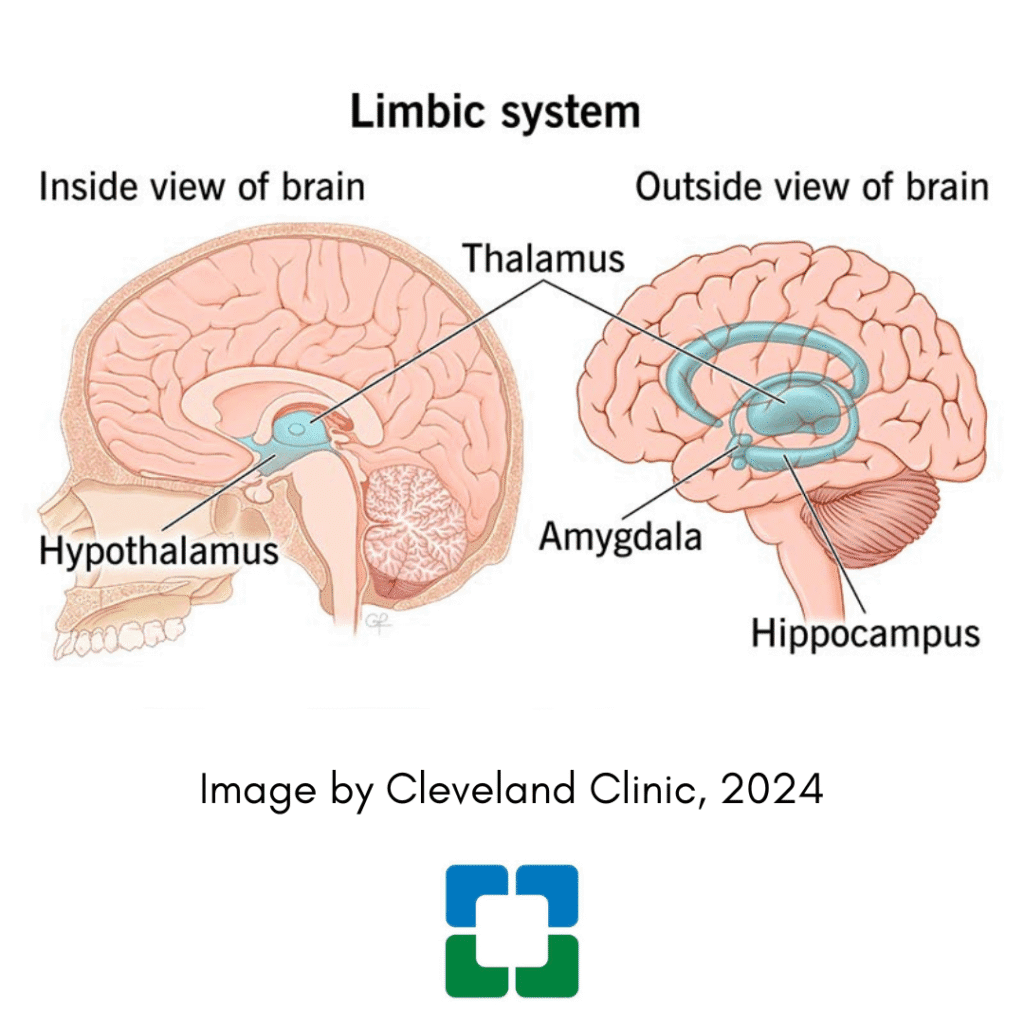 Limbic Utterances